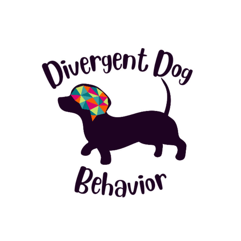 Divergent Dog Behavior wraps around a purple silhouette of a dachshund with a geometric brain in the head. The brain is lime green, magenta, orange and blue.