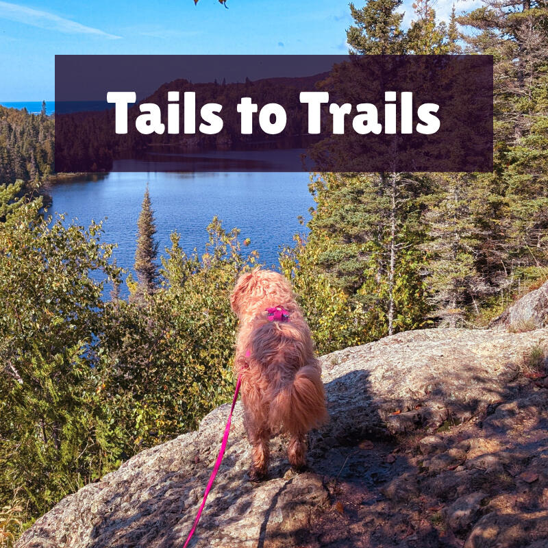 Tails to Trails Tails to Trails text is on top of a photo of a blonde, scruffy mini doodle standing on a rock overlooking Lake Superior at Pukaskwa National Park.